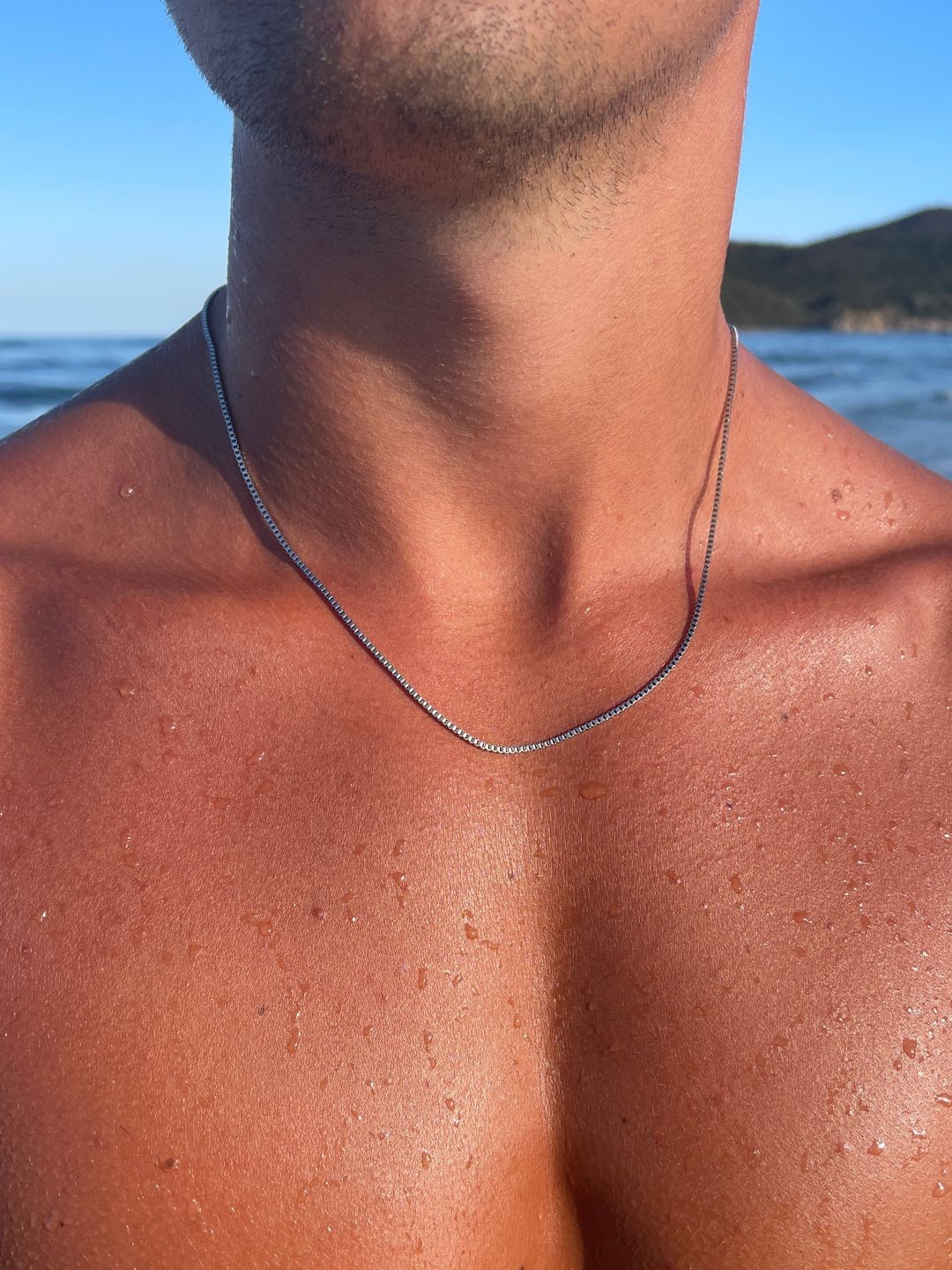 CATENA A CASELLA | Argento